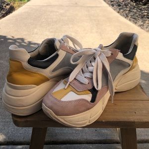 Steve madden Sneakers